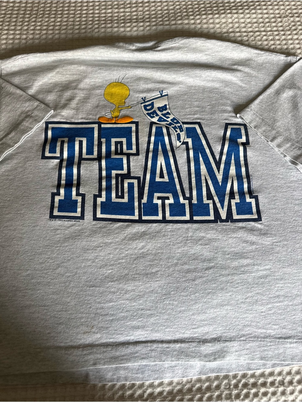 Vintage 1993 Tweety Bird Go Duke Tee Warner bros womens/kids crop single stitch - Picture 2 of 4